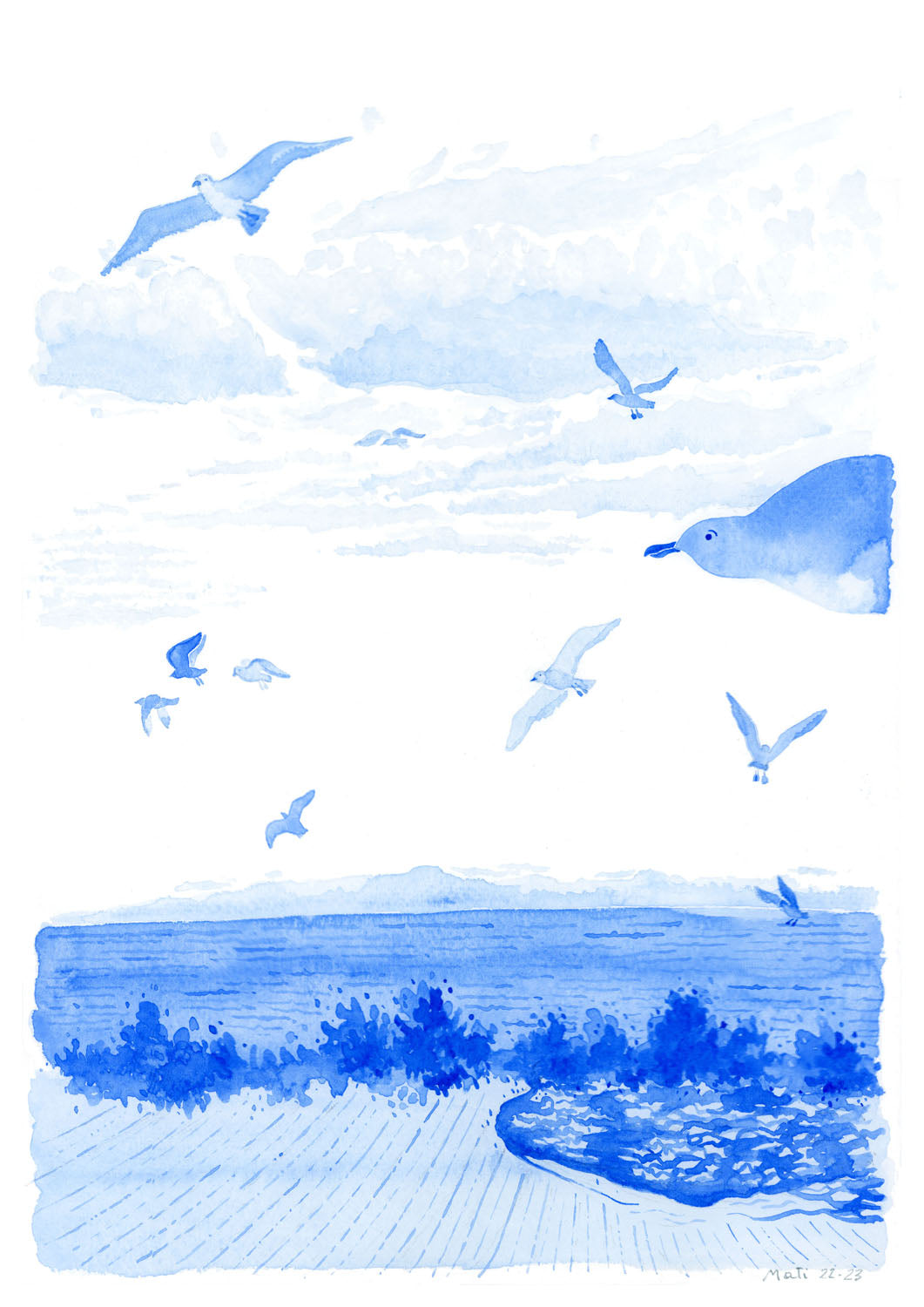 Seagulls