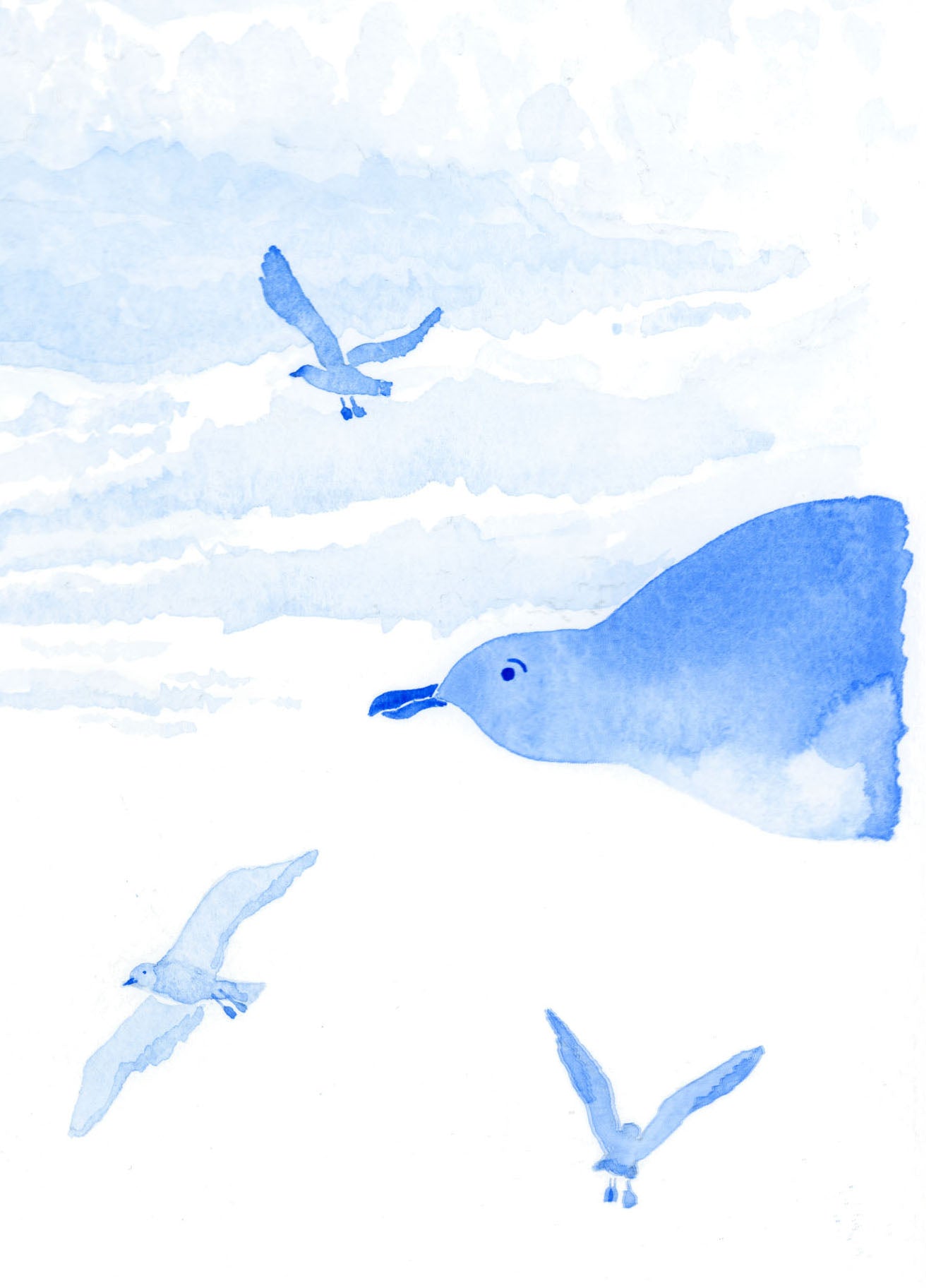 Seagulls