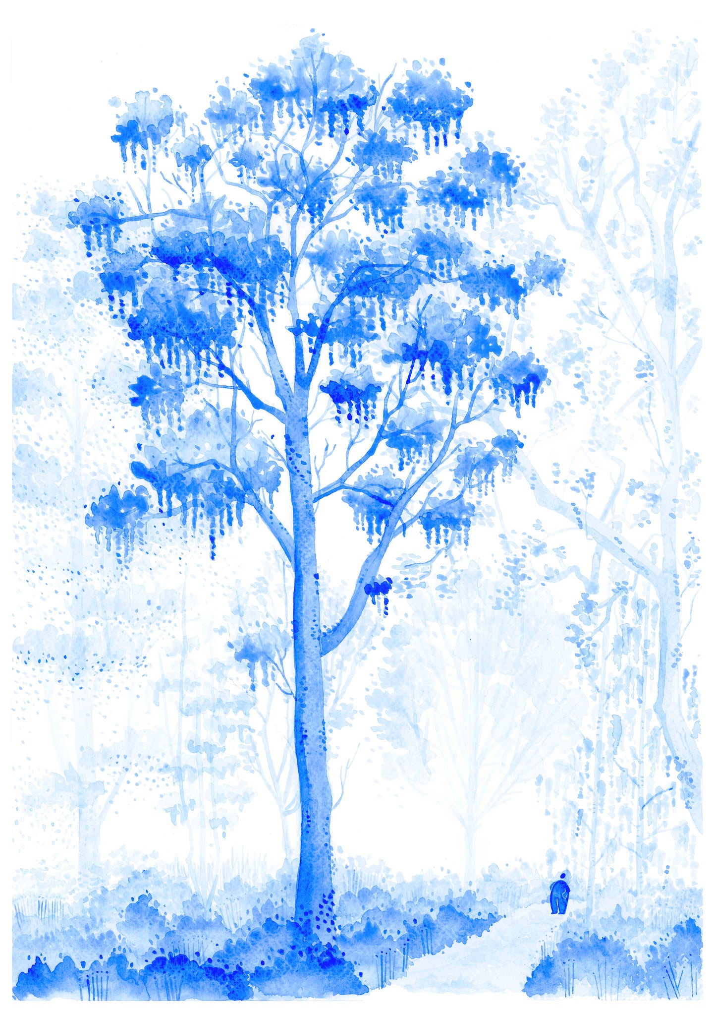 Walk in the wood