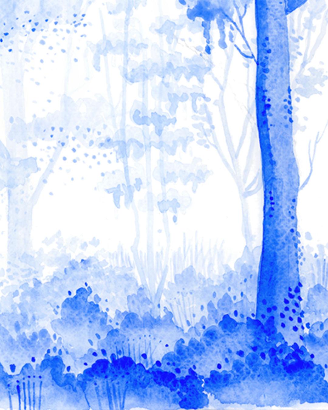 Walk in the wood