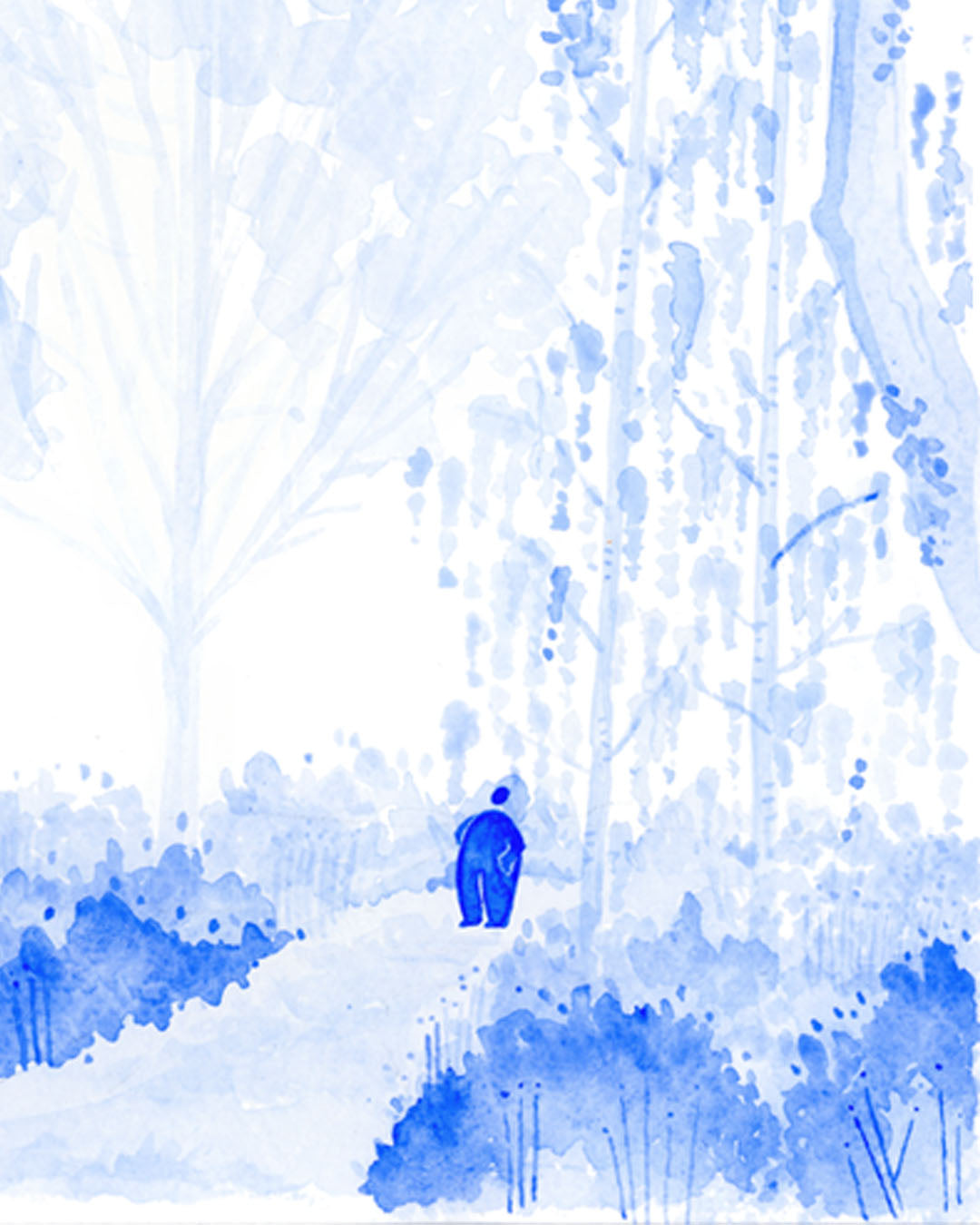 Walk in the wood
