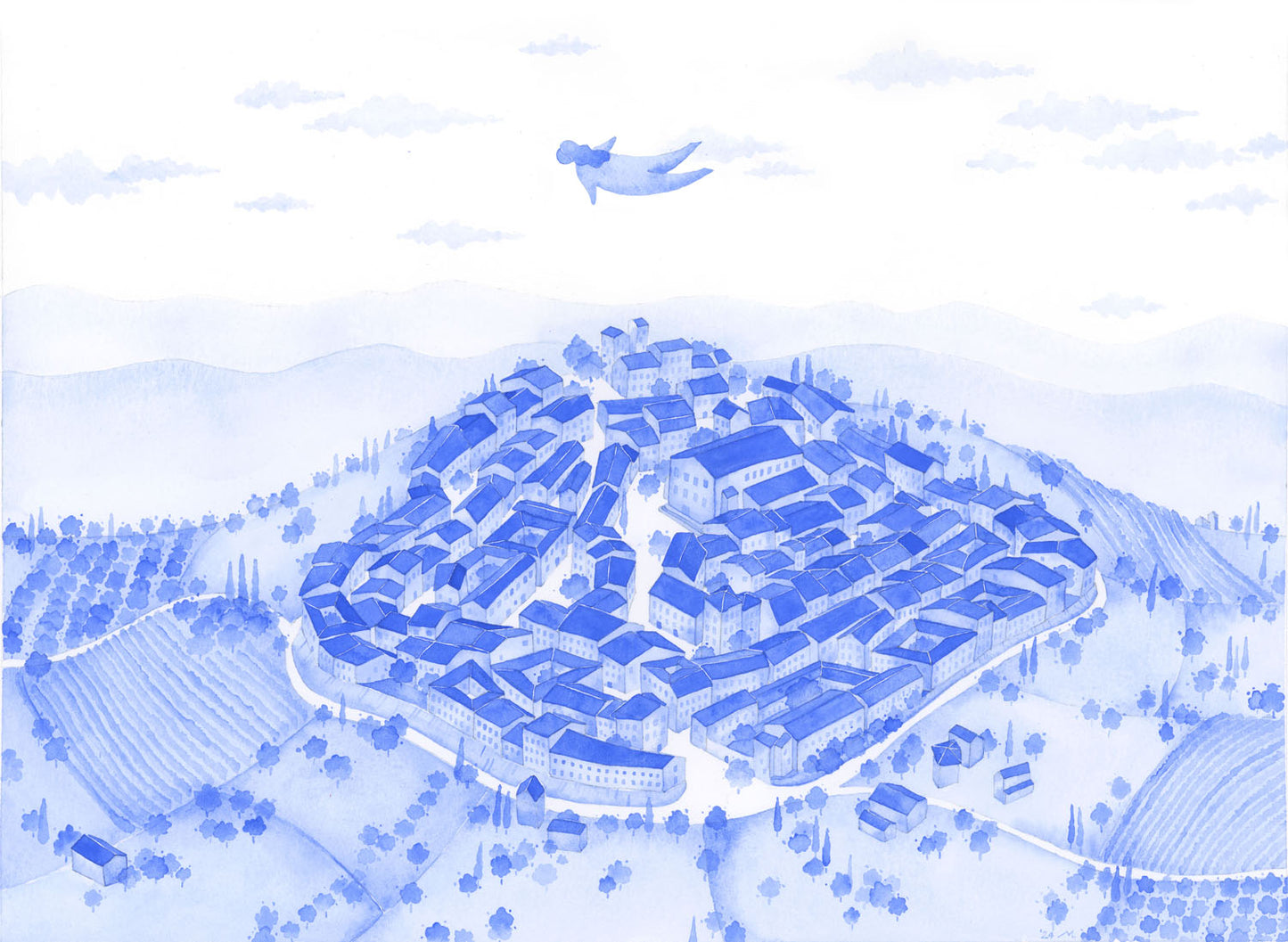 Looking from above