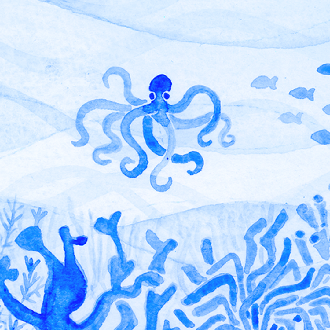 Ocean