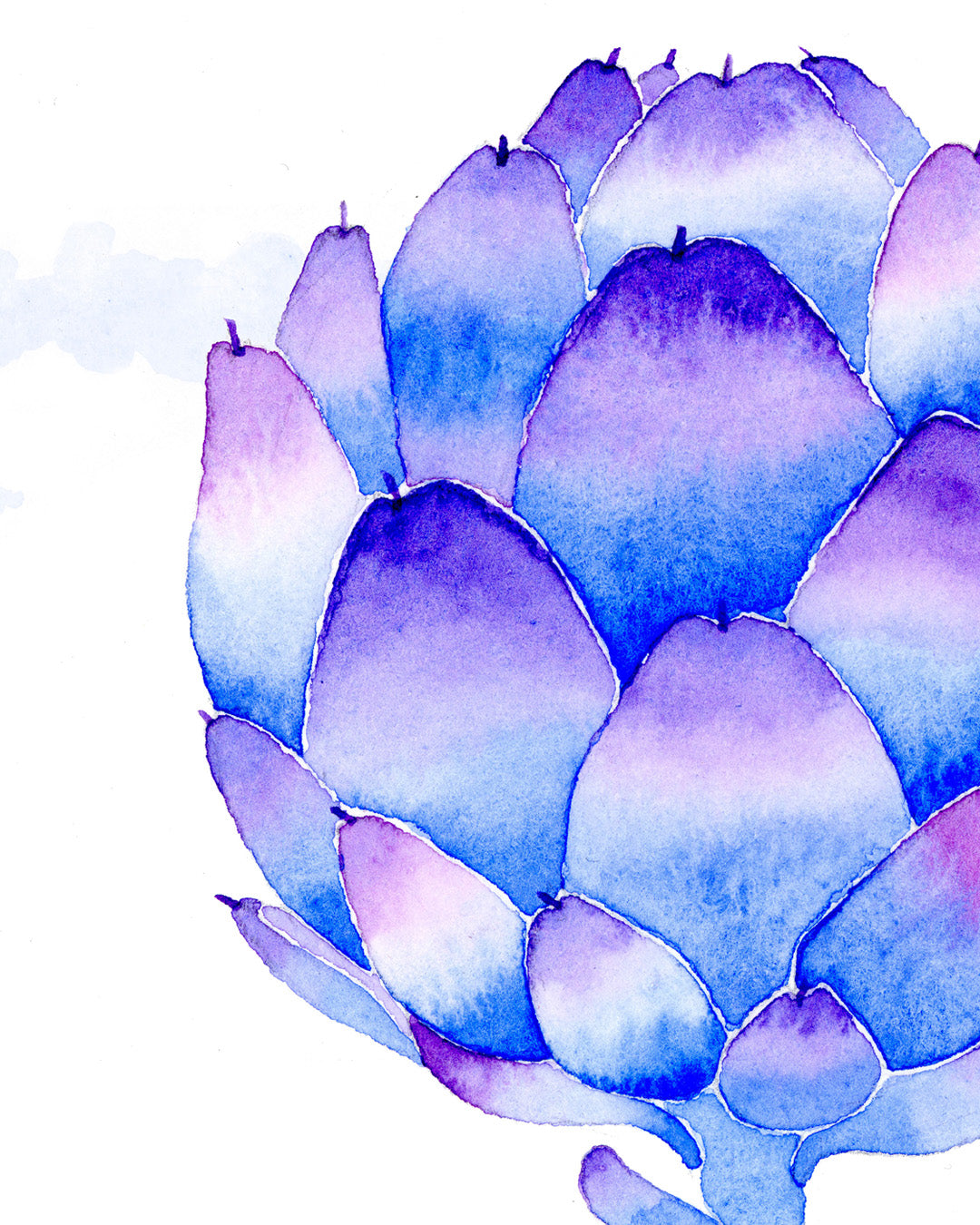 Artichoke with blue and purple watercolor texture on a white background