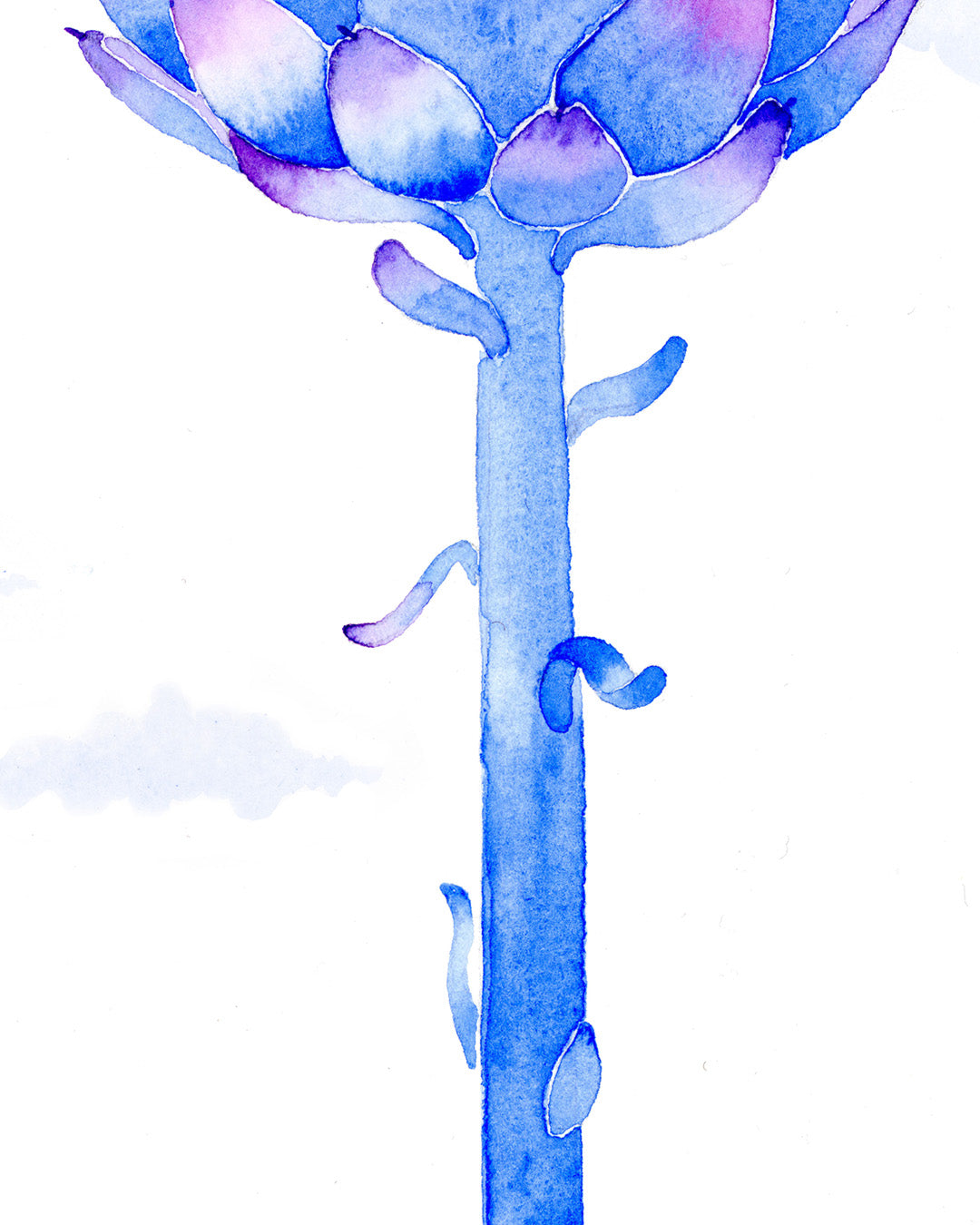 Blue watercolor succulent plant on a white background